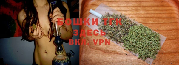 дживик Аркадак