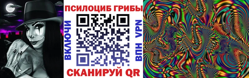 Галлюциногенные грибы Psilocybe  где найти   сайты даркнета официальный сайт  Сысерть 